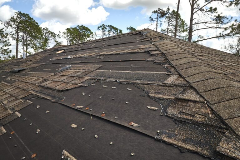 What Should You Check for After a Thunderstorm in Cedar Grove, NJ?
