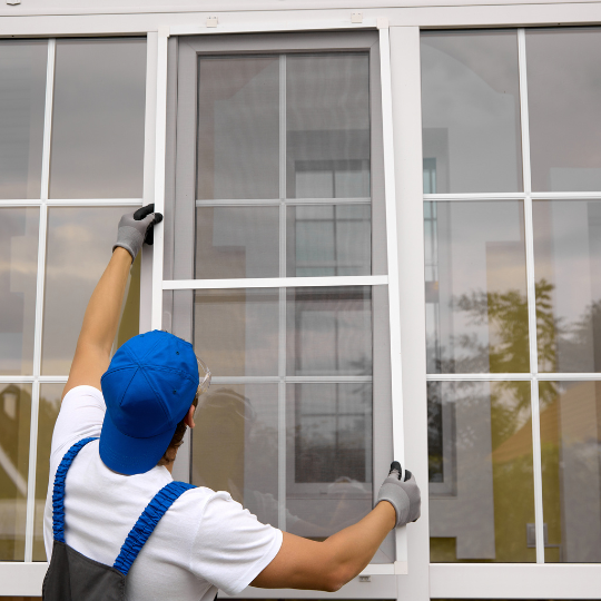 Window Replacement.png